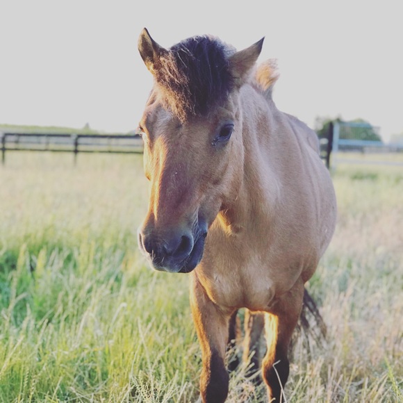 Meet your Posher, Lauren - Picture 8 of 10